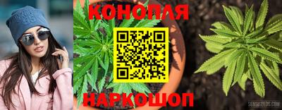 гидропоника Чапаевск