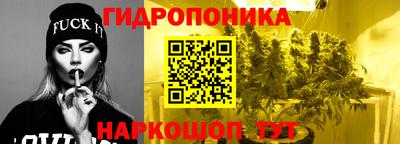 apvp Чебоксары