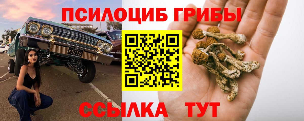 Большой Камень  Галлюциногенные грибы ЛСД  Вход с VPN 